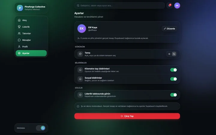 Hesap ve görünüm tercihleri — web görünümü